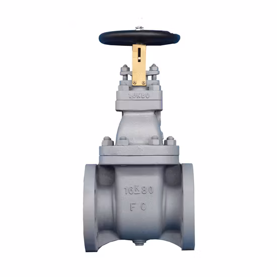 Ss Ball Valve Stainless Steel Ball Valve Industrial Like Angle Globe Valves for Mainline Clog